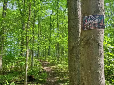 The Gnome Trail at Pool House Lodge